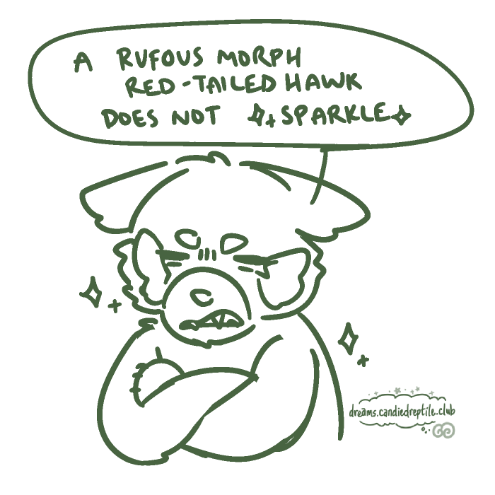don't lecture me
