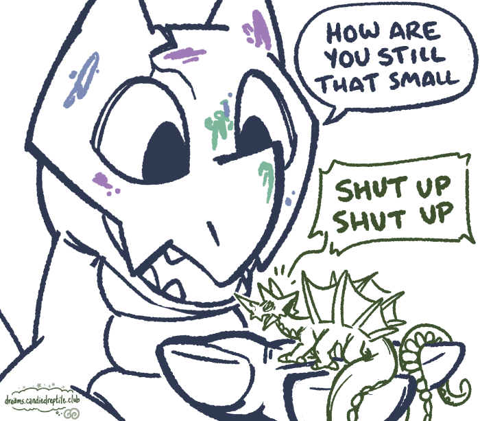 size justice